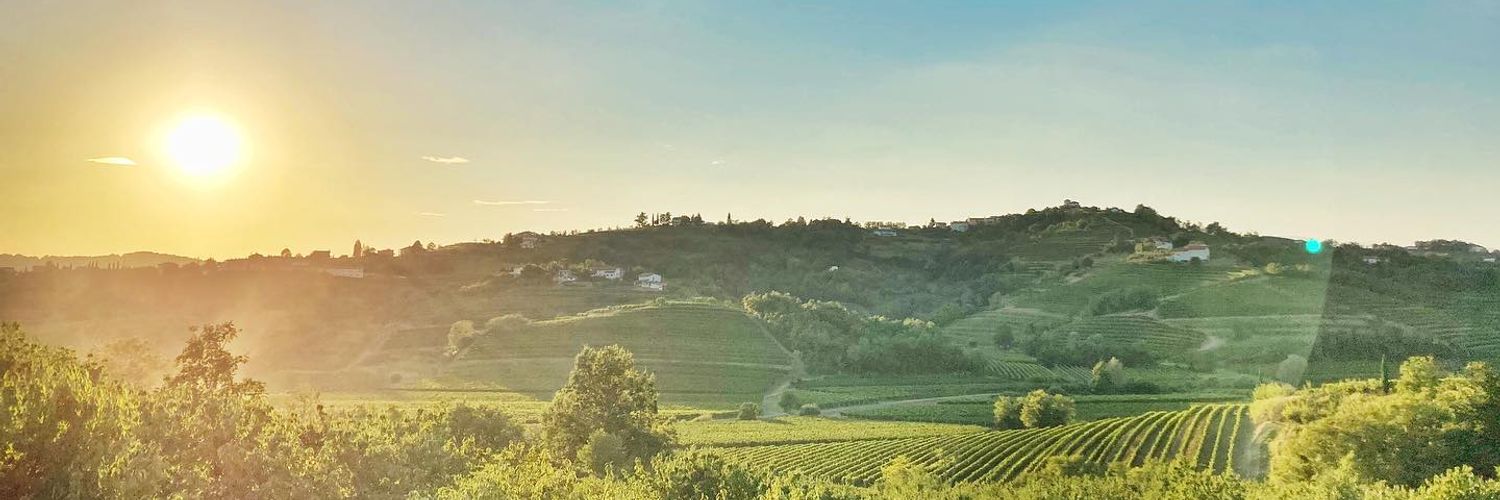 Benedetič Winery 2 Wt2025