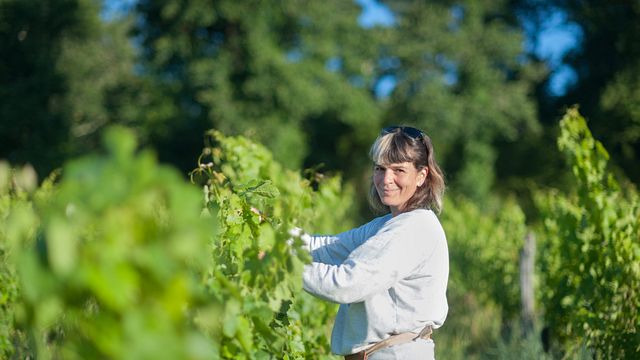 Weinprobe und Führung im Château Mons La Graveyre