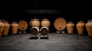 Wine Tasting - Discover Canavese Amphora Wines | Cantina Luca Leggero