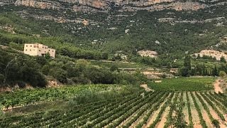 Visita in cantina con bambini | Celler Joan Ametller