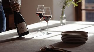 Provence: Templar History & Vineyard Discovery