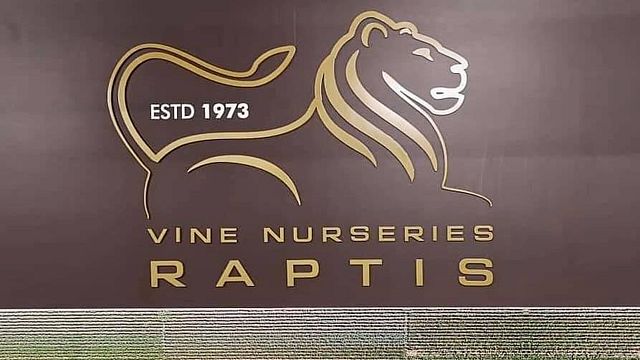 Degustazione di vini presso la tenuta Raptis