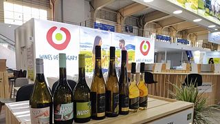 Dégustation de vins et visite de la cave Harsányi