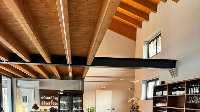 VISITE DES VIGNOBLES ET DES CAVES AVEC ACCORD METS ET VINS