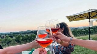 Visite de cave et dégustation de vin à Pileum