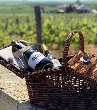 Cata de vinos y visita guiada en Mad Wine