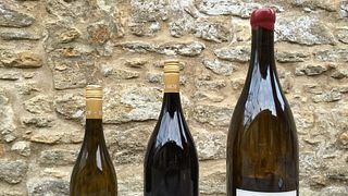 Franken Wine & History Tour at Ilmbacher Hof
