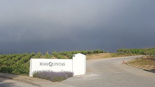 Quinta da Giesta