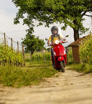 Private E-Bike-Tour „Langhe del Barolo“ – Asphalt- und Schotterstraße