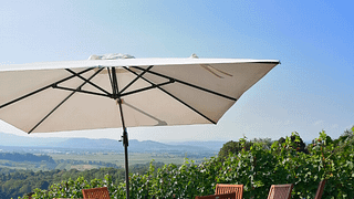 Dégustation privée de vins dans un petit domaine viticole de Dolenjska