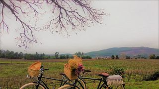 Terra Rosa Country House & Vineyards