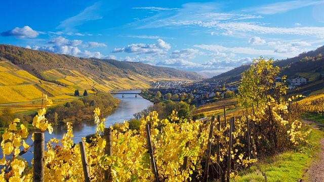Weingut Arns