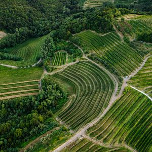 Vinprovning och rundtur på Stekar viner