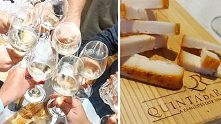 Découvrez les vins de la Quinta da Raza produits avec le cépage Alvarinho