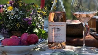 Wine Tasting and Tour at Marchesi Pancrazi