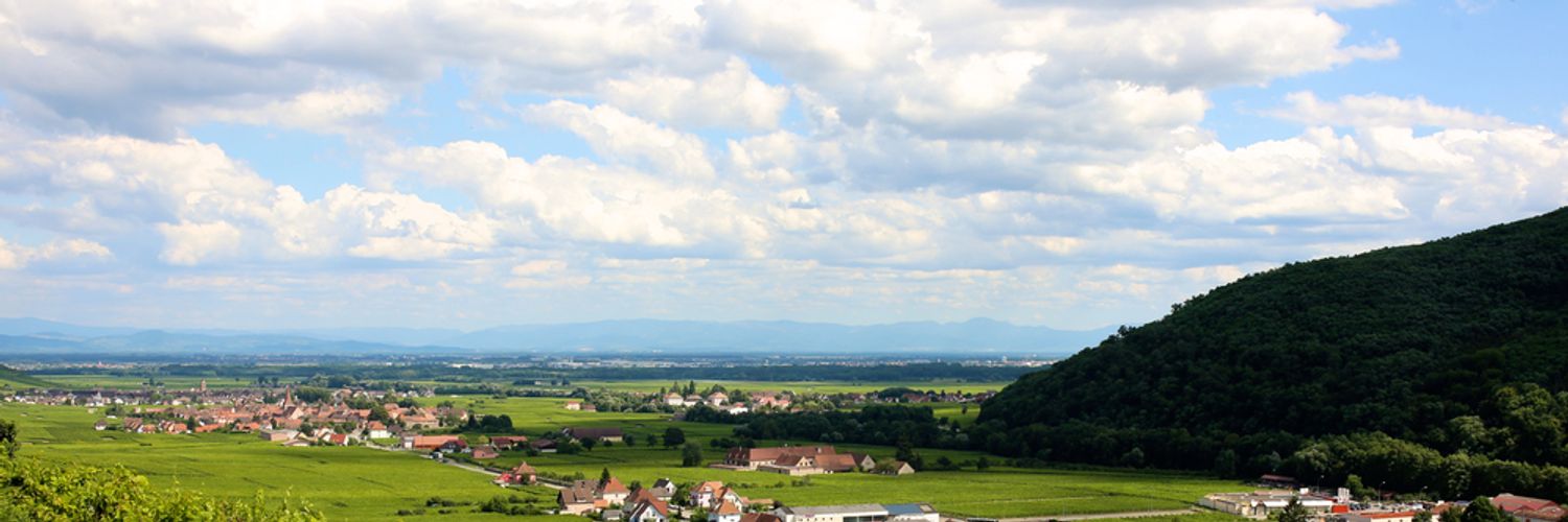 Vineayrds of Haut rhin