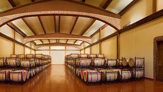 Degustazione di vini e tour a Viñedos y Bodegas Asensio Carcelén