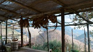 Mariage intime / Fugue dans le vignoble + Dégustation de vins et déjeuner ou dîner romantique + Photographie