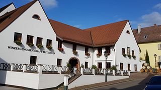 Baden Vineyard Walk & Wine Tasting at WG Britzingen