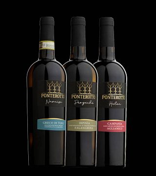 Degustação de vinhos e tour em Ponterotto