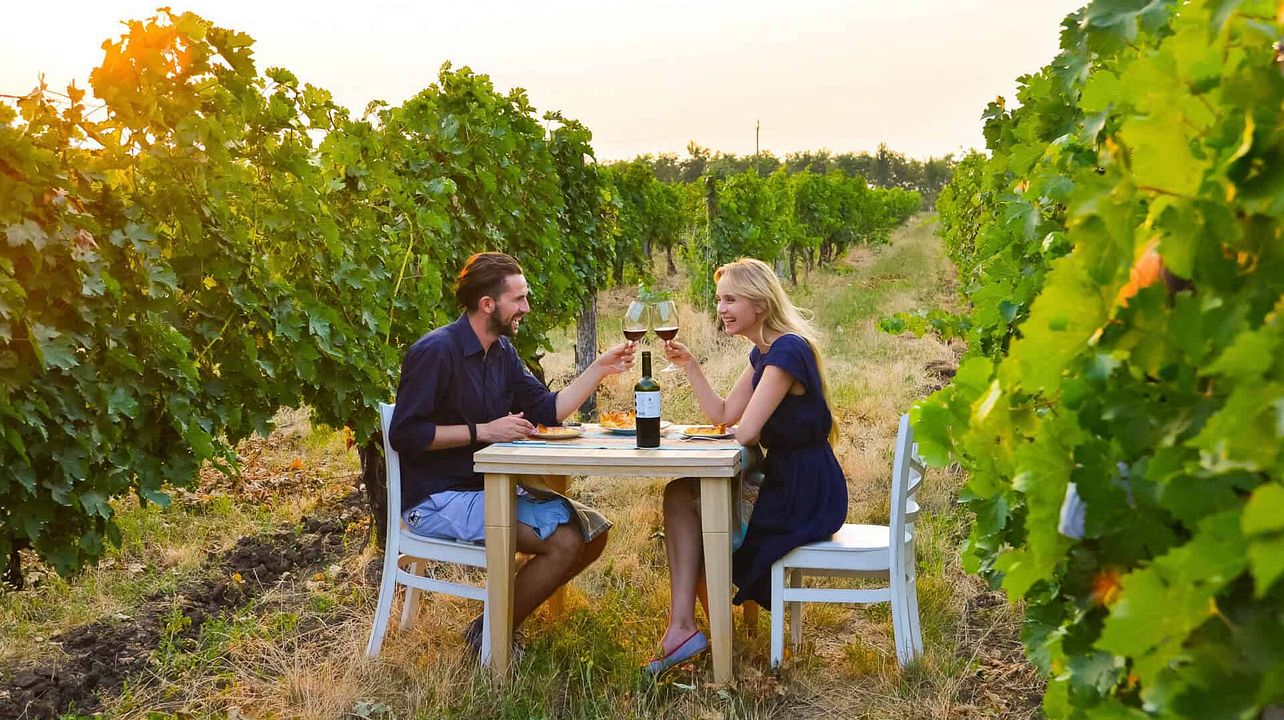 Tour privato di mezza giornata nel Chianti