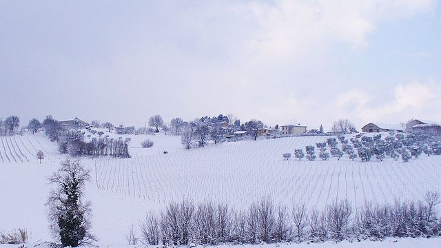 Degustação de vinhos e tour na vinícola Sor Rico