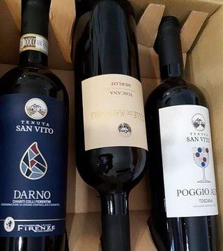 Cata de vinos y visita guiada en Tenuta San Vito