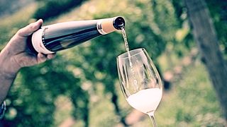 Vinprovning och rundtur på Tenuta Il Falchetto