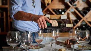 As emoções da Vigna 800: Degustação de vinhos no coração da Valpolicella Classica