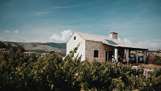 Kairos Vina