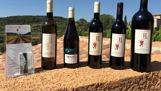 Languedoc-Roussillon Wine Journey at Le Mas De Ronnel