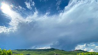 Cannubi : Vineyard Walk and Barolo Experience