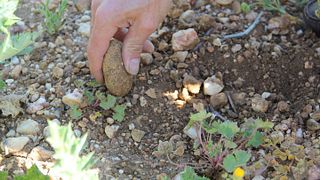 Visita e degustazione al Chateau-Montpezat