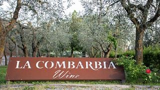 Degustazione di vini e tour a La Combarbia