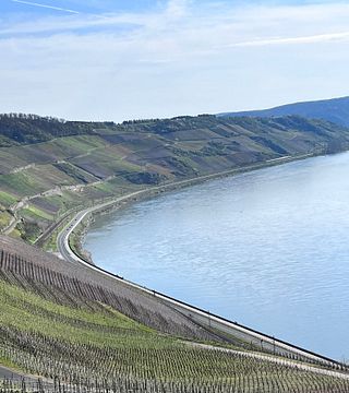 Weingut Toni Lorenz & Weinhotel Landsknecht