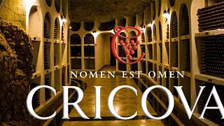 Cricova Cellar Vinprovning Tour  