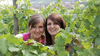 Cata de vinos y visita guiada en Domaine Schmitt-Carrer