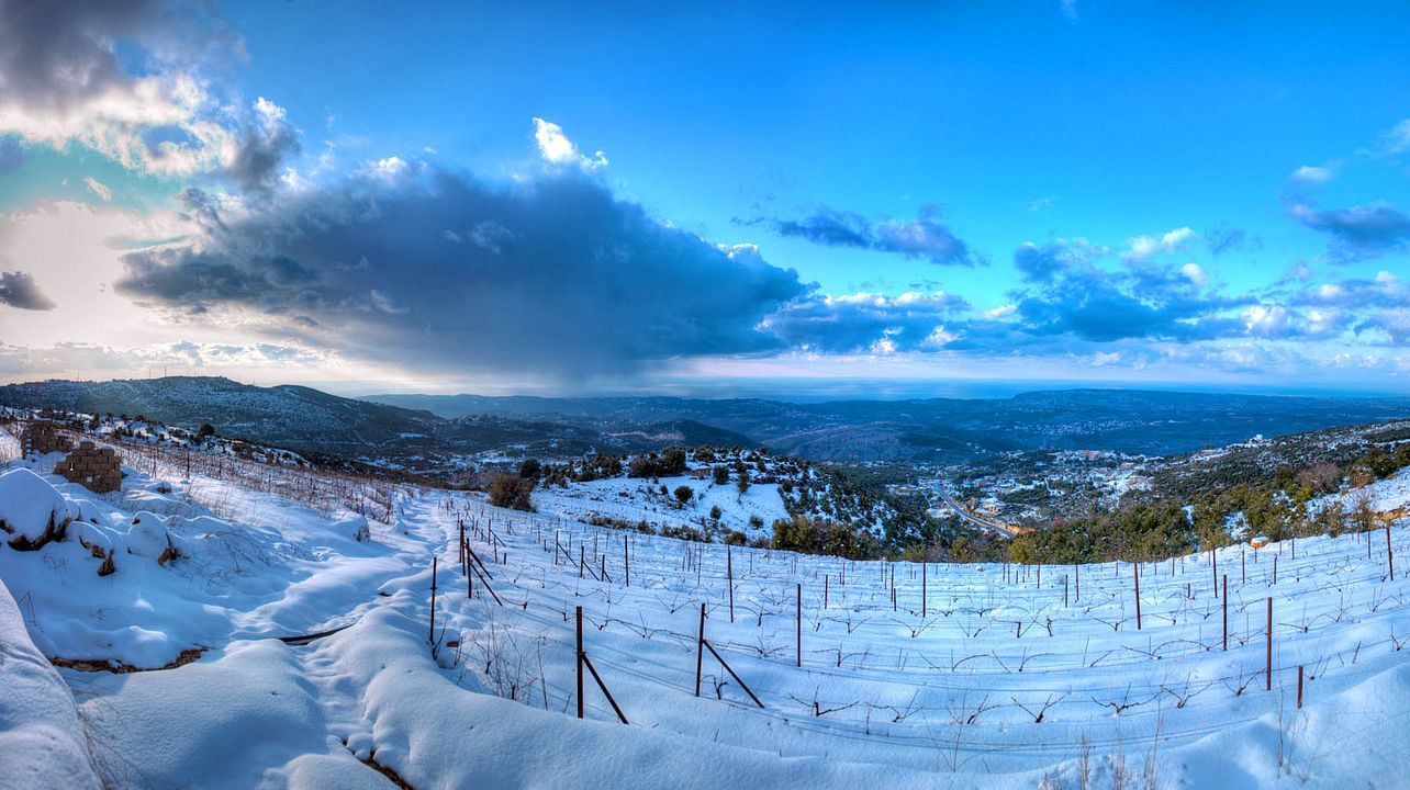 Batroun Mountains Winery