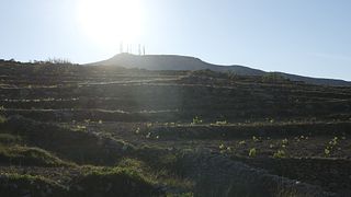 Paros Farming Community