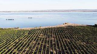 Puglia’s Finest: Tenuta Giustini Wine Tour & Tasting