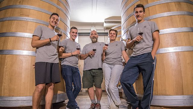 Degustação de 5 vinhos orgânicos e tour pelos vinhedos em Massimo Rivetti