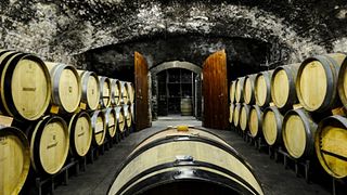 Visita e degustazione di vini presso Winzer von Erbach eG