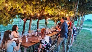 Weinprobe und entspannender Spaziergang im Weinberg des Weinguts Annafrancesca - Klassisches Erlebnis