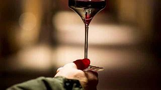 Domaine Frédéric Mabileau