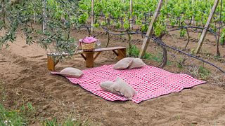 Puglia Vineyard Picnic for Two | Cantina Petrelli