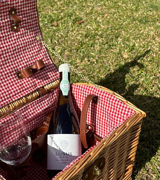 Picnic-Viñedos Lusus