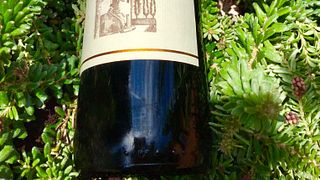 Wine Tasting and Tour at Azienda Agraria San Gregorio