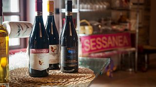 Degustação de vinhos e tour em Sessanea