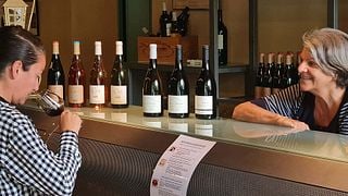 Wine Tasting and Tour at Domaine Boudau