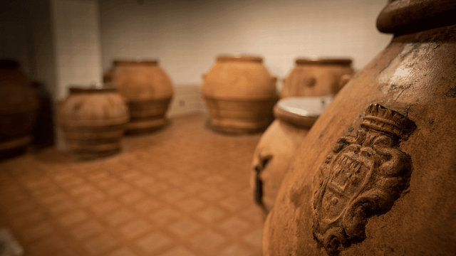 Visite avec dégustation privée d'huile d'olive extra vierge (Laudemio)